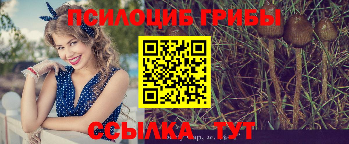 Галлюциногенные грибы Magic Shrooms Сунжа